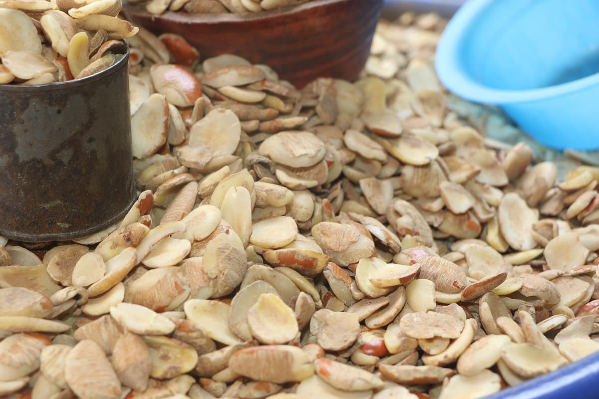 Ogbono Seeds 200g